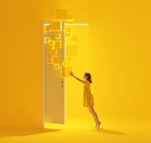 Macaw Entscheidungsträger