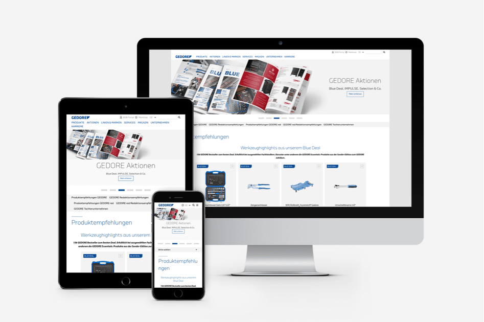 Case - Geodore - Sitecore 1