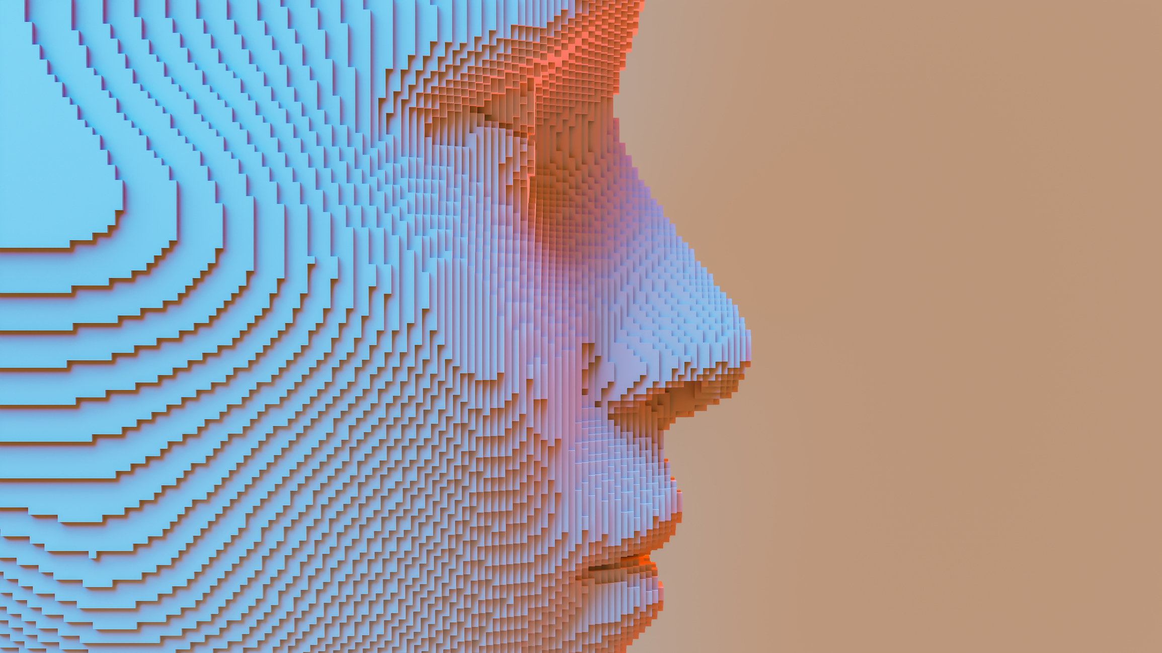 Imagery (81)